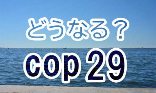 延長戦の末に合意、COP29が示した新たな道筋